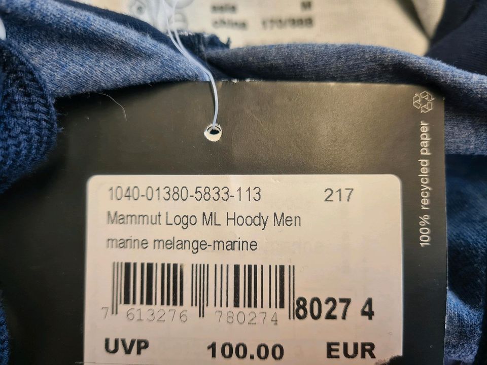 Mammut Logo ML Hoody Kapuzenpullover in Zweibrücken