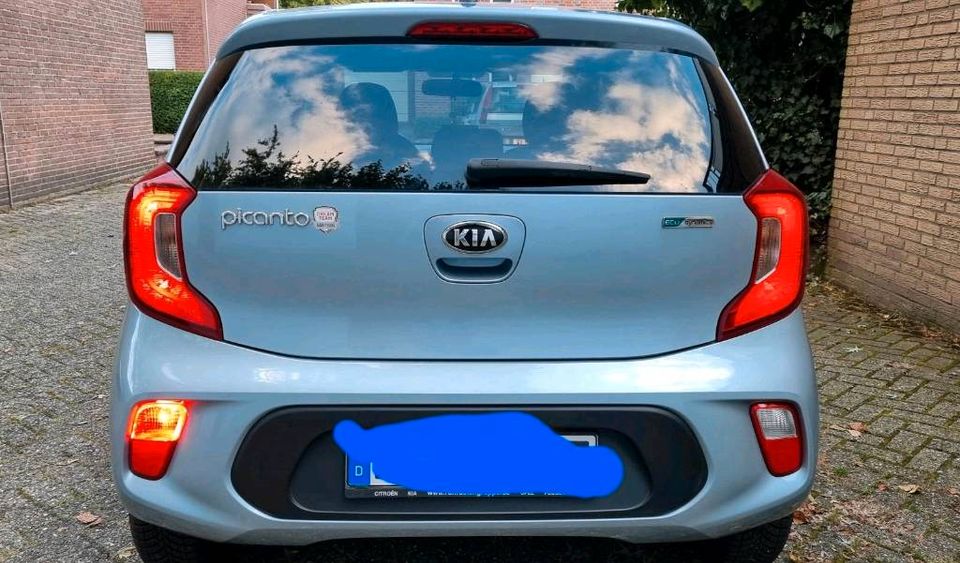 Kia Picanto 1.0 UNFALLFREI in Lingen (Ems)