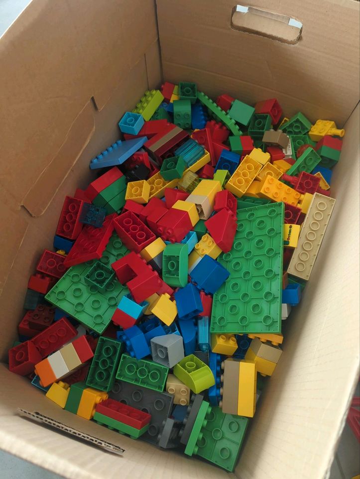 Lego Duplo in Stolk