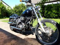 Harley softtail fxst Lacksatz Fender, tanks, fender struts Niedersachsen - Braunschweig Vorschau