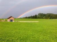 Pferdebox, Offenstall, Stellplatz, Stall mit Reitplatz Bayern - Kempten Vorschau