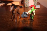 Junge mit Fohlen Playmobil special 4647 Bayern - Landsberg (Lech) Vorschau