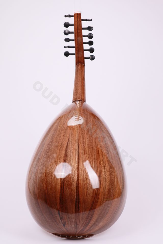 Arabic Professional  Oud,  عود عربي احترافي, Arabische Laute, Ud in Frankfurt am Main