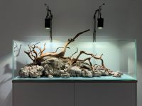 Weißglas Aquarium 123x40x40 cm  (10 mm) stabiler Unterschrank Nordrhein-Westfalen - Leichlingen Vorschau