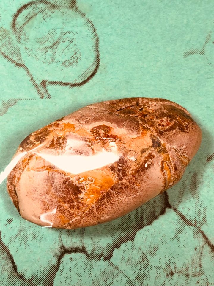 Australischer Amulettstein Anhänger, Thunderegg mit Zertifikat in Vohenstrauß