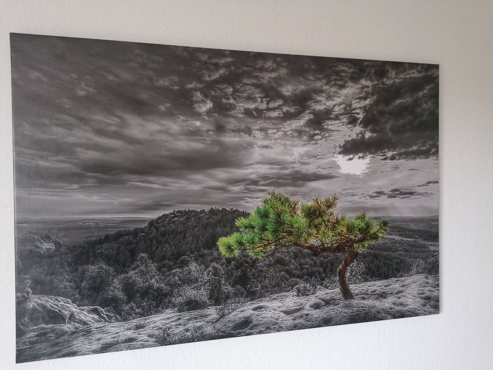 Fotodruck auf Leinwand in Hamburg