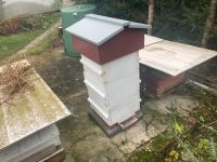 Bienenvolk in Warre Beute Leipzig - Sellerhausen-Stünz Vorschau