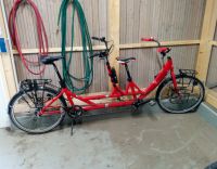 Tandem von Pedalpower (Kolibri – Eltern Kind Tandem) Berlin - Pankow Vorschau