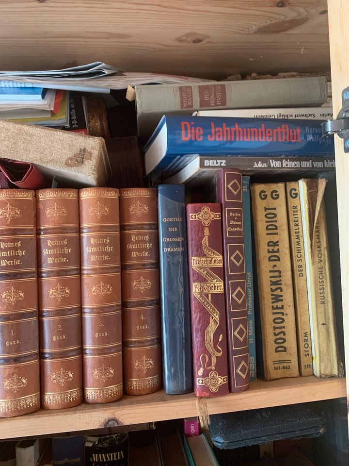 Verschiedene Bücher in Wolfenbüttel