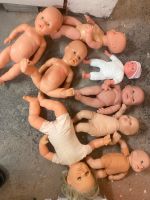 8 Puppen Baby Schleswig-Holstein - Neumünster Vorschau