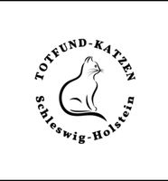 Verunfallte Katze Kater grau-schwarz getigert Schleswig-Holstein - Tetenhusen Vorschau