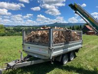 Brennholz/Feuerholz/Kaminholz/Buche/Esche/Trocken/Frisch Baden-Württemberg - Hechingen Vorschau