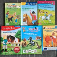 Kinderbücher Pferde Harburg - Hamburg Rönneburg Vorschau