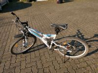 Zündapp Mountainbike 26 Zoll Hessen - Reinhardshagen Vorschau