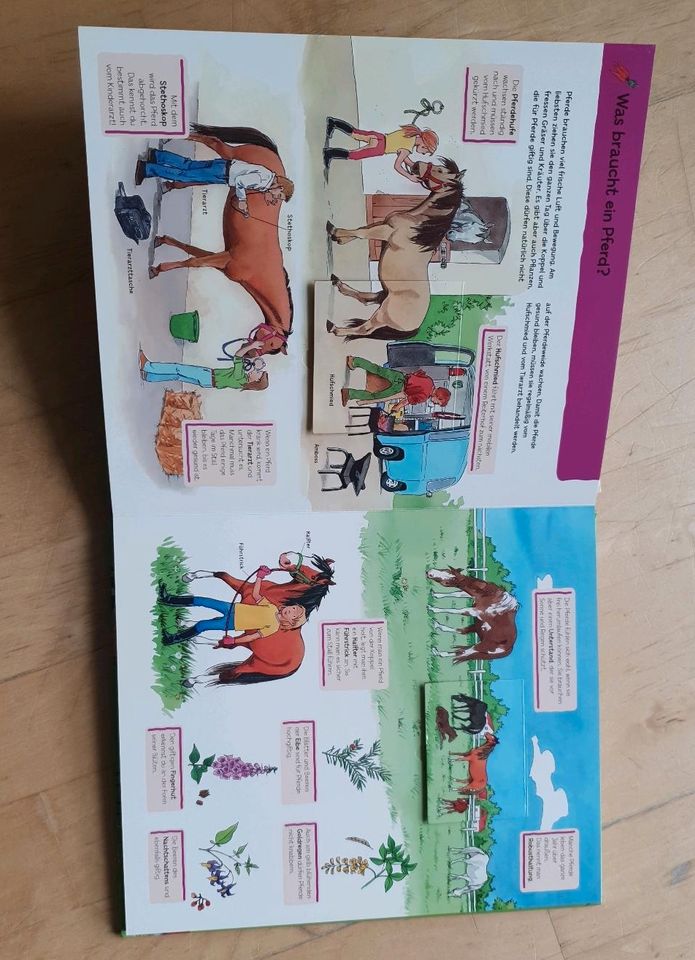 Buch "Pferde und Ponys" Mitmachbuch mit Klappen in Lauben