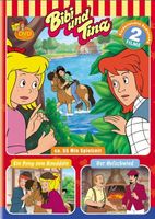 Bibi und Tina - Ein Pony zum Knuddeln und Der Hufschmied (DVD) Bayern - Bodenwöhr Vorschau