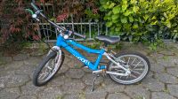 Kinderfahrrad Woom 3 16 Zoll Nordrhein-Westfalen - Detmold Vorschau