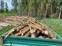 Brennholz Feuerholz Polterholz Buche Esche Eiche Fichte Bayern - Miltenberg Vorschau