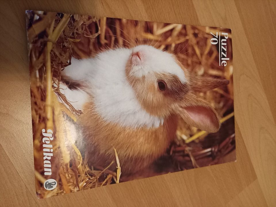 Puzzle Hase in Hameln
