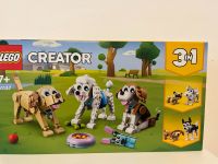 Lego 31137 Creator 3 in 1 Hunde Hessen - Oberursel (Taunus) Vorschau