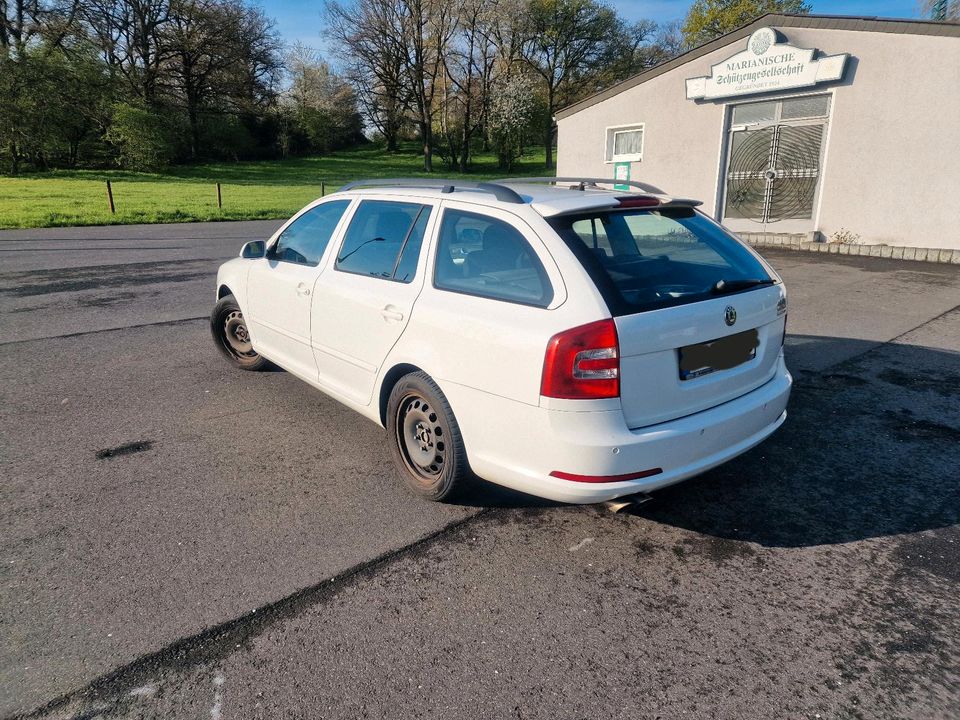 Skoda Octavia 2.0 TDI in Kreuzau