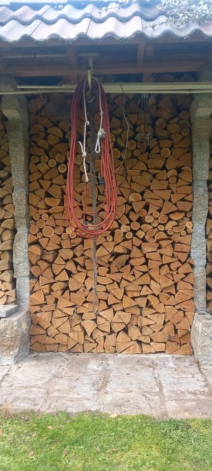 Brennholz Robinie Scheitlänge 33 cm 1 rm in Werneuchen