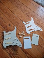 Fender Stratocaster US/Mex Plastic Parts Pickups Tonabnehmer Harburg - Hamburg Heimfeld Vorschau