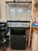 ExoTerra Terrarium 60x45x60 + Unterschrank + Heizlampe Berlin - Tempelhof Vorschau