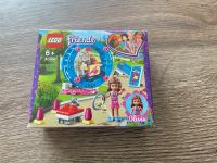 Neues Lego Friends Set 41383 Olivias Hamster-Spielplatz Hessen - Brombachtal Vorschau
