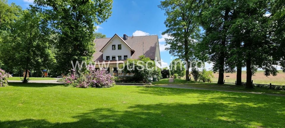 Wohnen und / oder Gewerbe  - Haus mit vielen Möglichkeiten in Alleinlage in Brakel