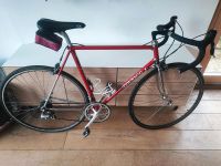 Rennrad Colnago Super Shimano 600 RH 57 Nordrhein-Westfalen - Medebach Vorschau