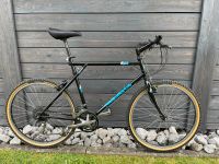 Retro MTB GT Tequesta 1989 Rheinland-Pfalz - Norken Vorschau