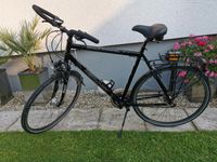 Bergamont Trekking Fahrrad 28er Nordrhein-Westfalen - Warstein Vorschau