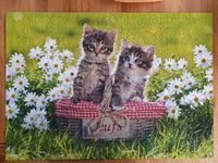 1000 Teile Ravensburger Puzzle Hessen - Rodgau Vorschau