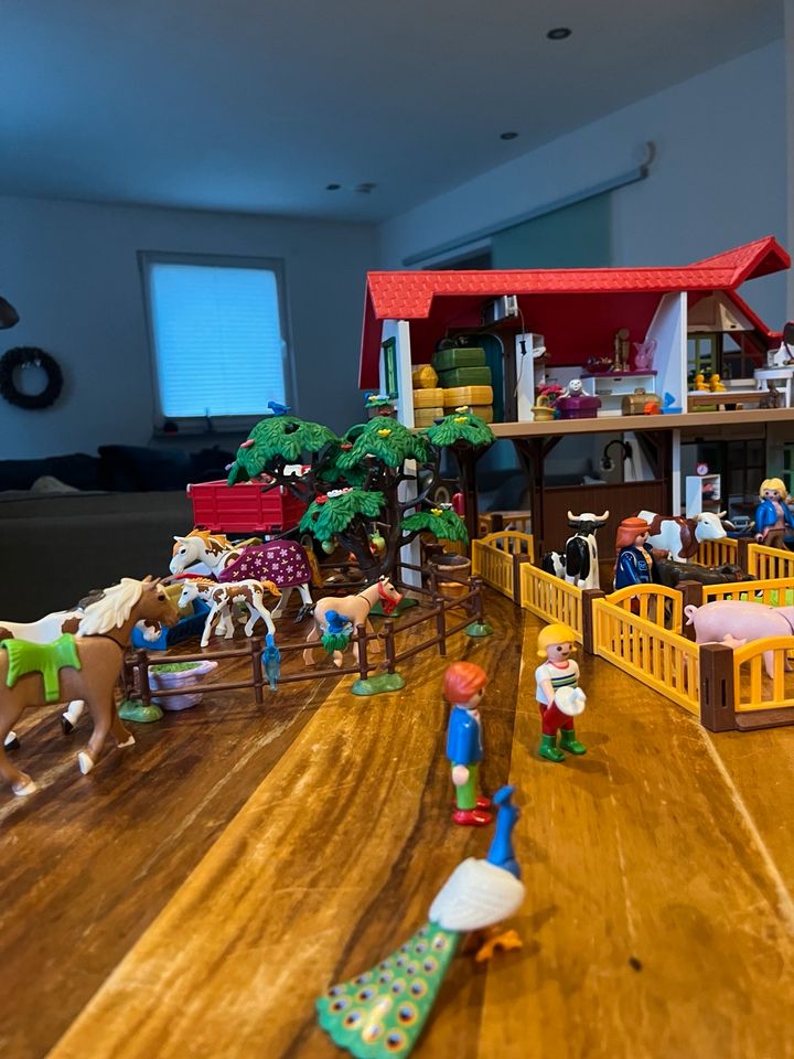 Playmobil Bauernhof mit ganz viel Zubehör in Wissen