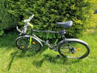 Herren Mountainbike Bottecchia 26 Zoll Rheinland-Pfalz - Horhausen (Nassau) Vorschau