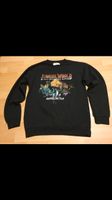 Reserved Jungen pullover Jurassic World Raptoren schwarz Gr.164 Niedersachsen - Sachsenhagen Vorschau