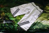 Adidas Clima 365 Shorts Hose Cargohose Cargoshorts Gr.M Thüringen - Jena Vorschau