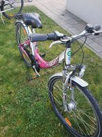 Pegasus Fahrrad 26 Zoll Bayern - Günzburg Vorschau