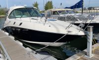 Sea Ray 305 Sundancer HT Top Zustand mit sehr vielen Extras Mecklenburg-Vorpommern - Wiek Vorschau