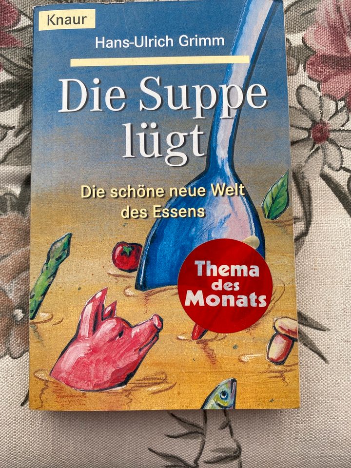 Hans-Ulrich Grimm die Suppe lügt in Köngen