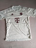 Bayern München Trikot Niedersachsen - Oldenburg Vorschau