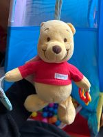 Winnie Pooh Baby Spielzeug Saarbrücken-West - Klarenthal Vorschau