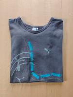 Schickes T-Shirt von Puma in grau-blau, Größe XL Niedersachsen - Osnabrück Vorschau
