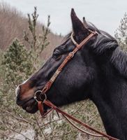 Western Kopfstück Loesdau mit Rohhaut Bayern - Höchberg Vorschau