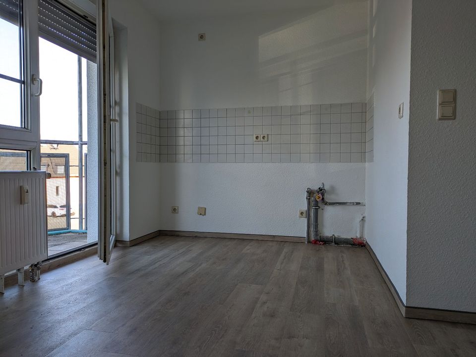 1 Raum Wohnung frisch renoviert im Süden von Cottbus in Cottbus