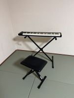 Keyboard von Nektar mit Ständer und Hocker Brandenburg - Großbeeren Vorschau