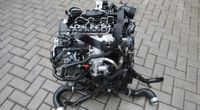 VW Audi Seat Skoda 2,0 TDI CBD Motor Triebwerk Engine Nordrhein-Westfalen - Dorsten Vorschau