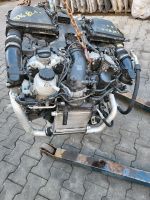 MOTOR AMG 43 276821 276.821 GLE GLS 4.3 BENZIN Nordrhein-Westfalen - Schloß Holte-Stukenbrock Vorschau