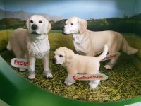 Golden Retriever - 41353 - exklusives Scenery Pack von Schleich Düsseldorf - Oberkassel Vorschau